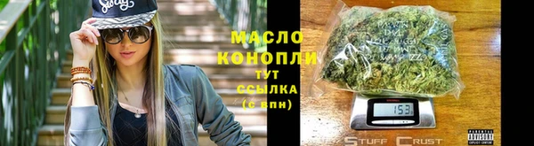 spice Инта