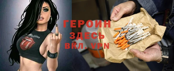 spice Инта