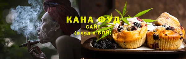 spice Инта