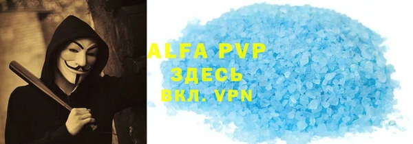 spice Инта