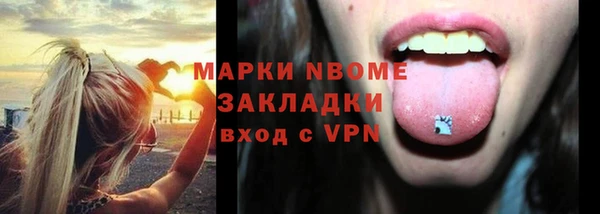 spice Инта