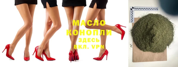spice Инта