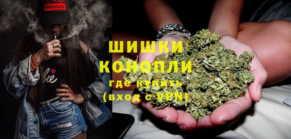 spice Инта