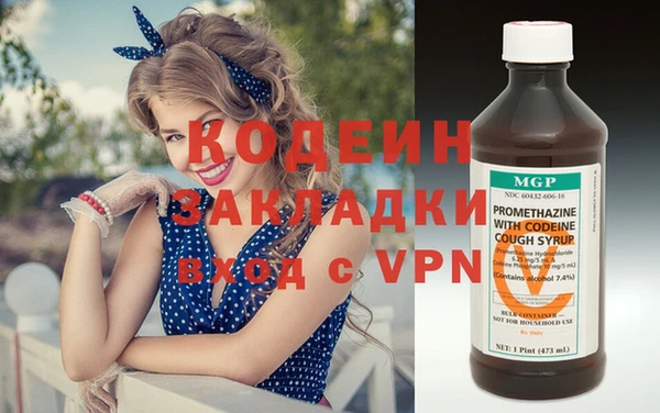 spice Инта