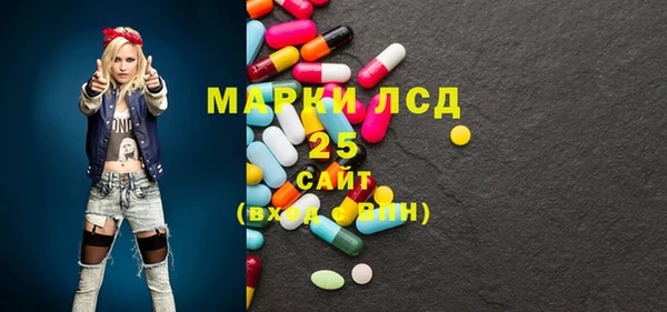 spice Инта