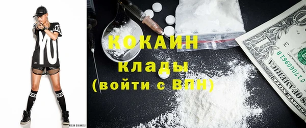 spice Инта