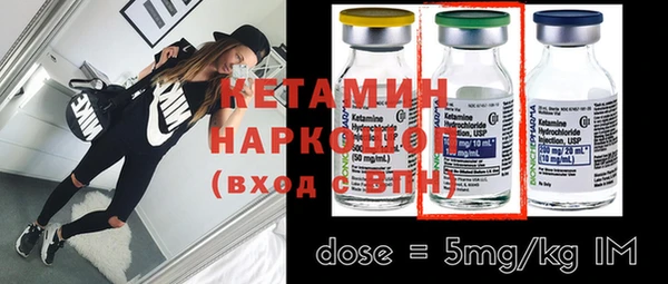 spice Инта