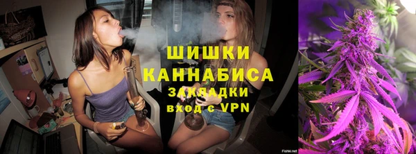 spice Инта