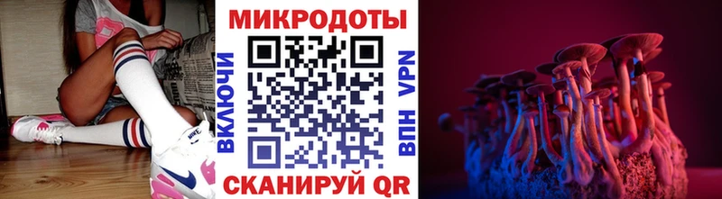 Купить где  Самара  Псилоцибиновые грибы GOLDEN TEACHER 